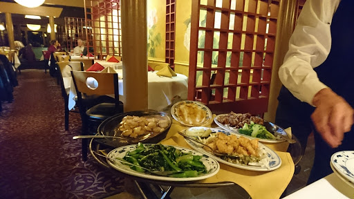 Image of May Dragon Chinese Restaurant δΊη¦ζ¨